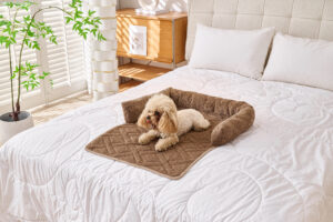 Dog Bed